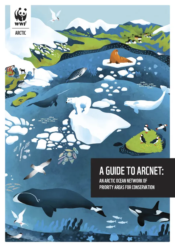 A report cover featuring a collage of animated animals in the Arctic including whales, polar bears, and birds