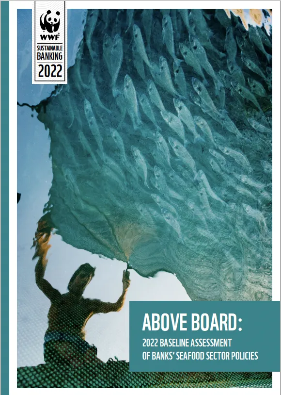 Report cover