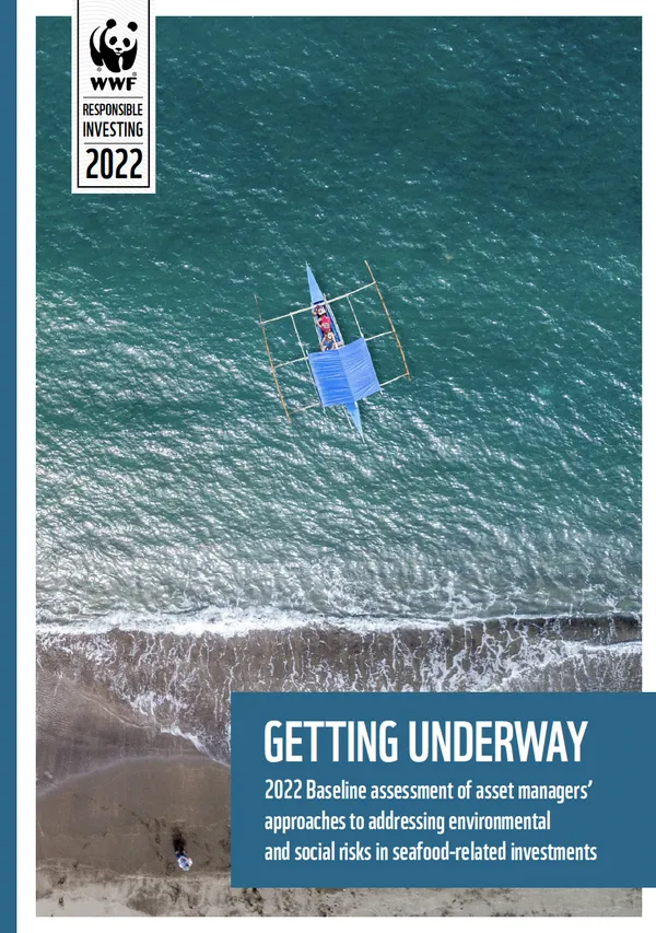 Cover of a report