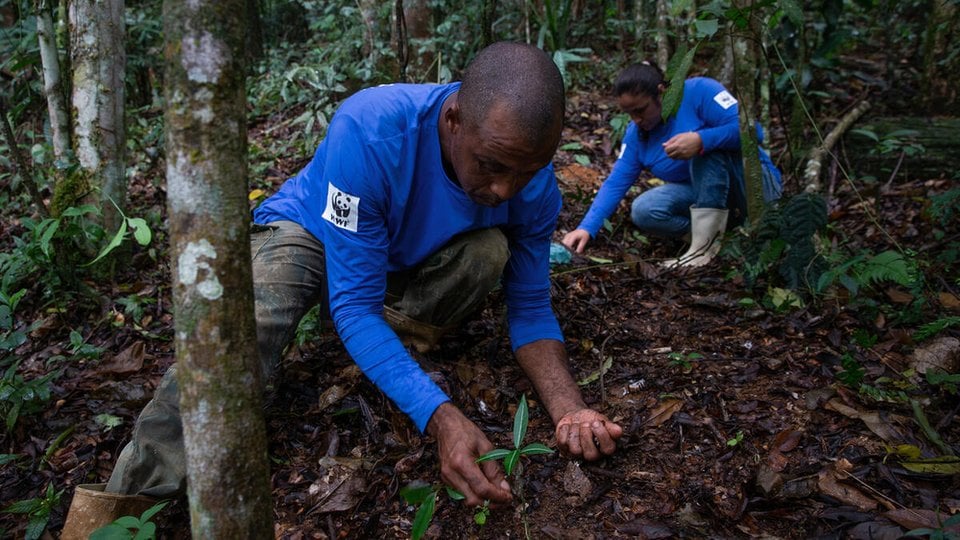 Reserva Ecológica de Guapiaçu (REGUA) employees