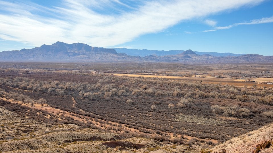 Landscape photo showing dry brown grasslands