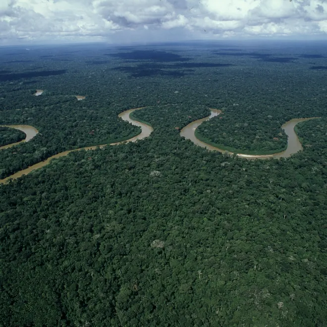 The meandering course of river Rio Pinquen, Amazon rainforest, Peru