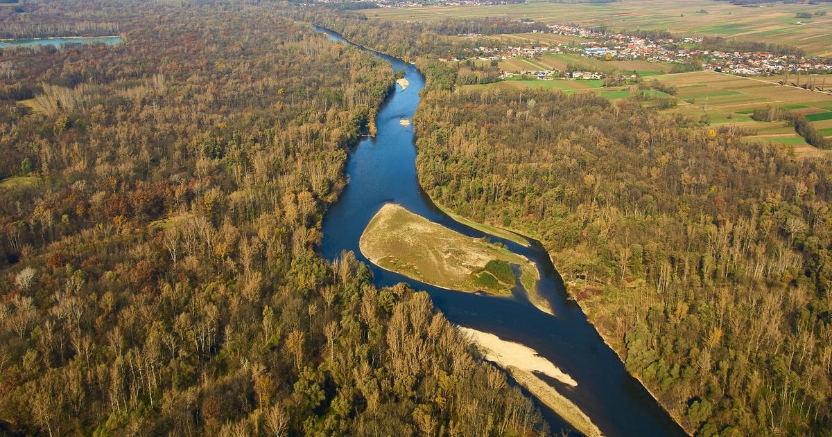 Protecting Rivers and Freshwater Ecosystems | WWF