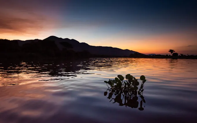 Landscape photo of a river at sunset
