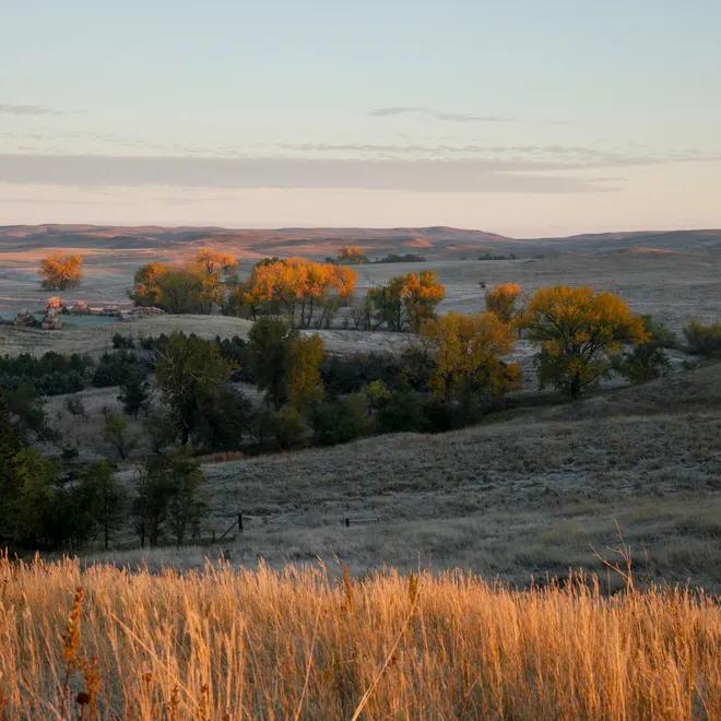 A landscape photo with dried brush in the foreground and a beige valley.
