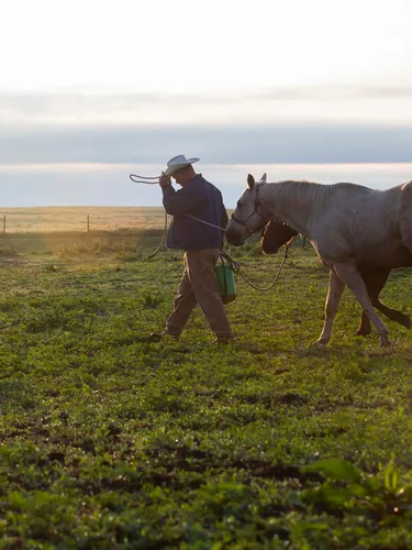 A horizontal video with a man in a cowboy hat at the center of the image, and horses trailing him on the right against a green field and clouds in the background.