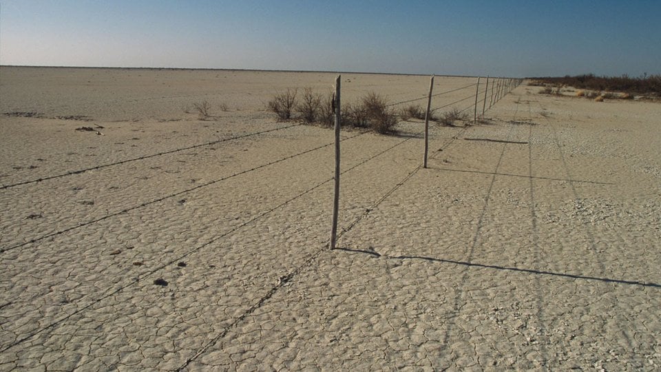 Seriously overgrazed (Ejido) communal land Chihuahua Desert Coahuila, Mexico