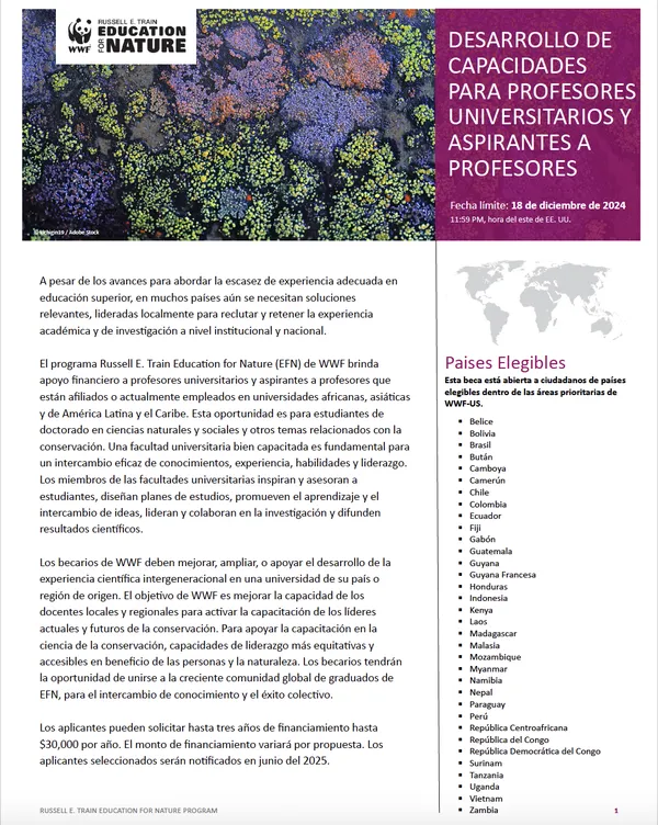 EFN Faculty Fellowship