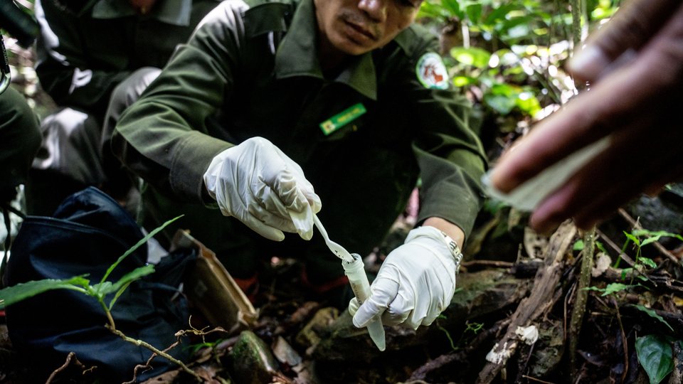 A ranger crouches on the ground and uses a spoon to put a sample into a tube