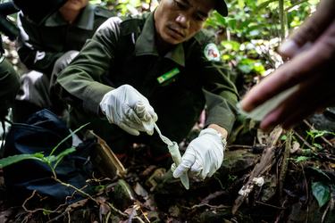 A ranger crouches on the ground and uses a spoon to put a sample into a tube