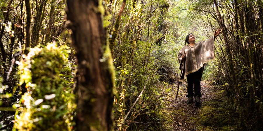 Sandra Antipani leads a walk through the woods near her ecotourism cabins