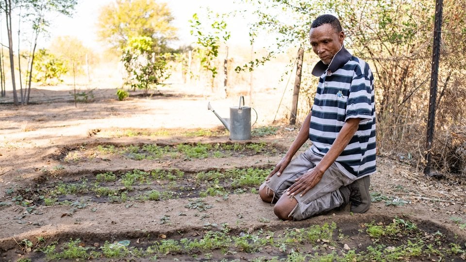 Village elder Sao Cwi kneels in the village garden