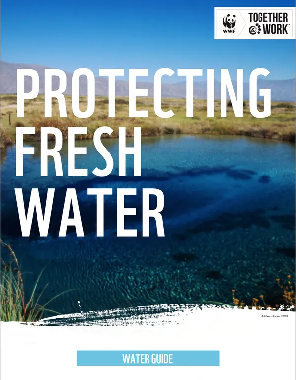 A report cover with bold lettering over the image of a river, marsh, and hills in the distance