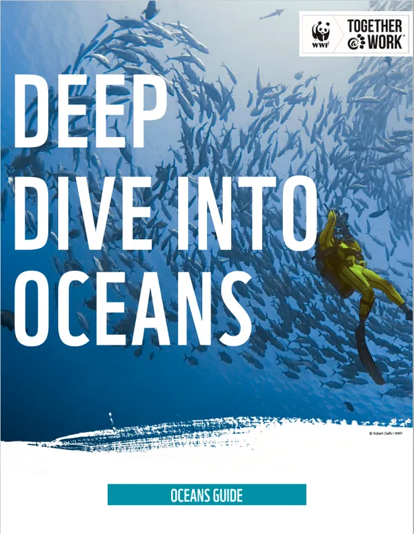 A report cover featuring bold lettering an a person in yellow scuba gear swimming below a school of fish