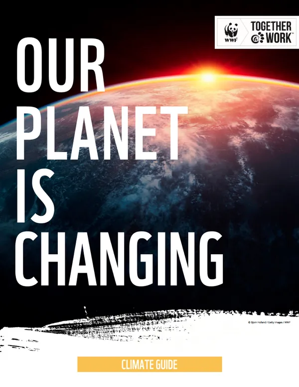 A report cover featuring bold lettering for the title over an image of the Earth from space with the sun rising