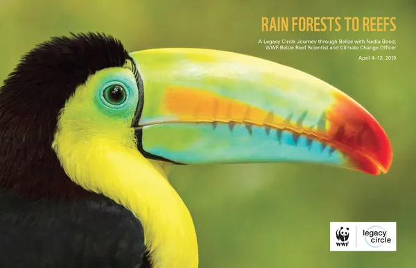 A report cover featuring a landscape portrait of a colorful bird and its rainbow beak