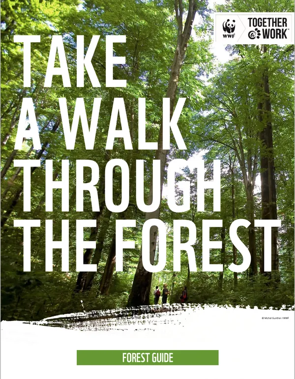 A report cover featuring bold text overlaid on two people looking up at trees in a vast forest