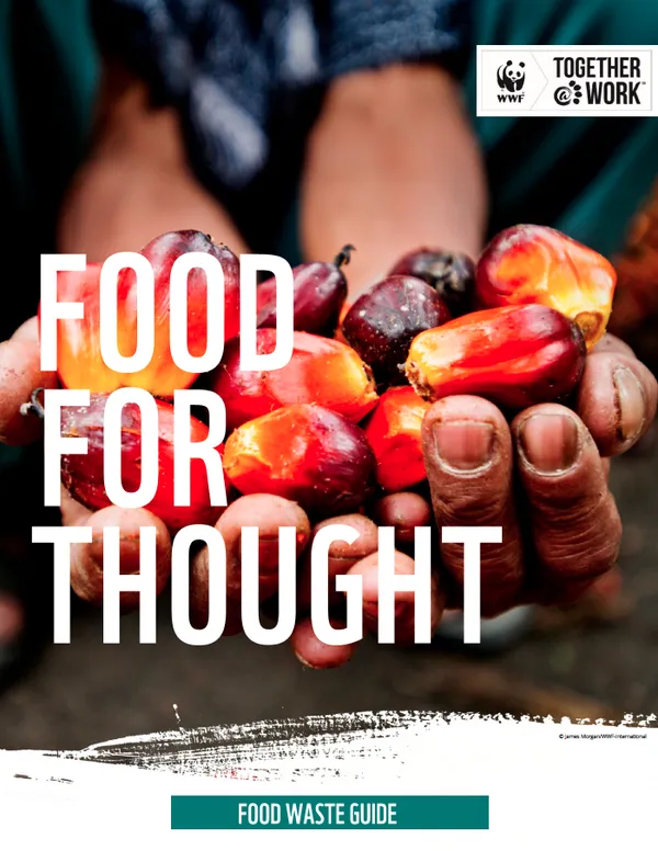A report cover using prominent lettering over a closeup of hands holding reddish-orange palm fruit