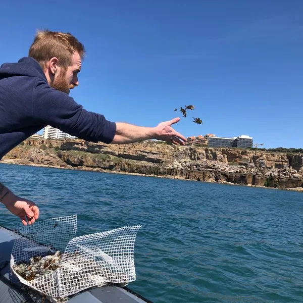 Man throwing plants off side of boat