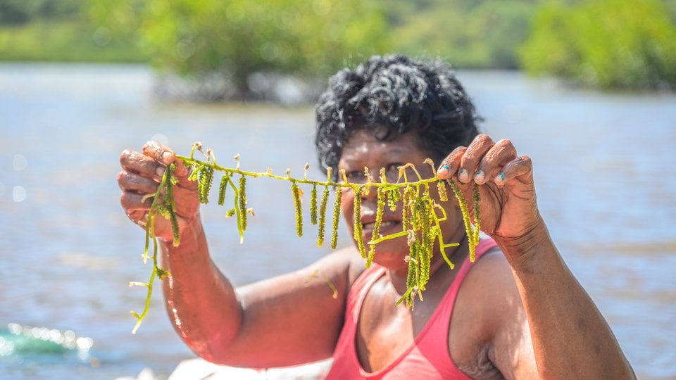 A woman holds up a long stem with small fruits