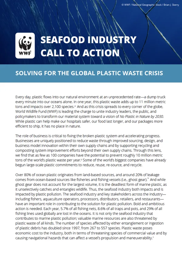 Cover to 'seafood industry call to action' publication