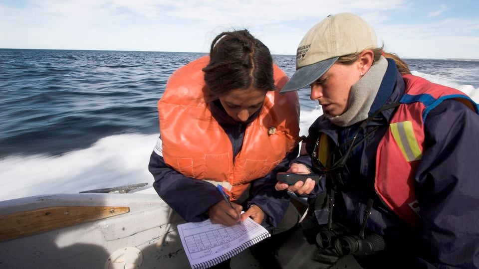 Two people on a boat recording information in a book