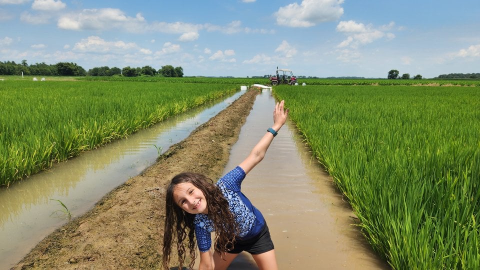 Shira posing in a flooded rice field