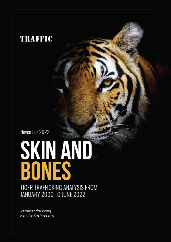 Report cover with Tiger face