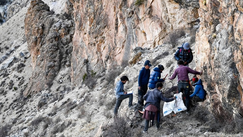 A team collaring snow leopards preps on the slope of a gray mountain