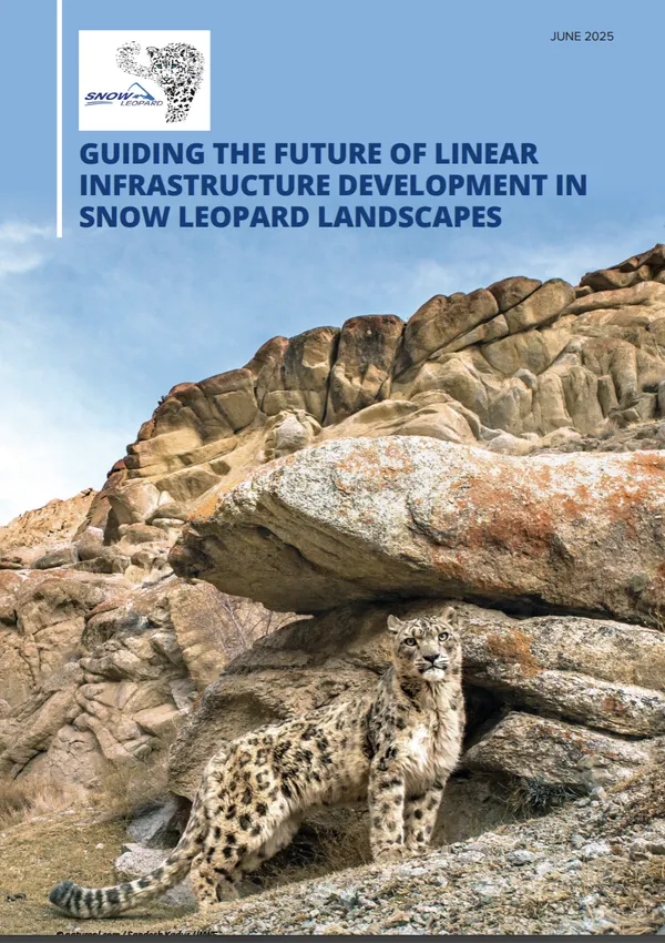 Cover of report about snow leopards
