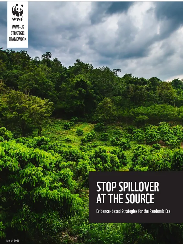 Report cover