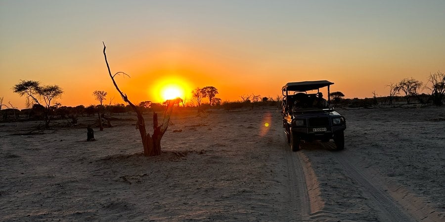The sun sets over trees, a jeep in the foreground