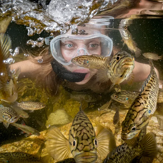 Underwater photo of swimming woman wearing mask looking at golden fish