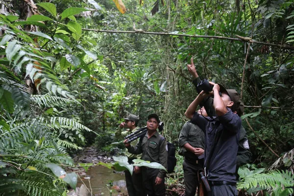 Forest rangers on patrol in a forest
