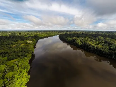 Photograph of the Tambopata River from a drone