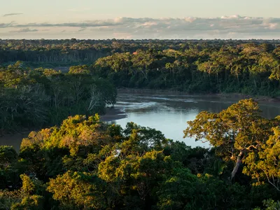 Tambopata National Reserve Peru