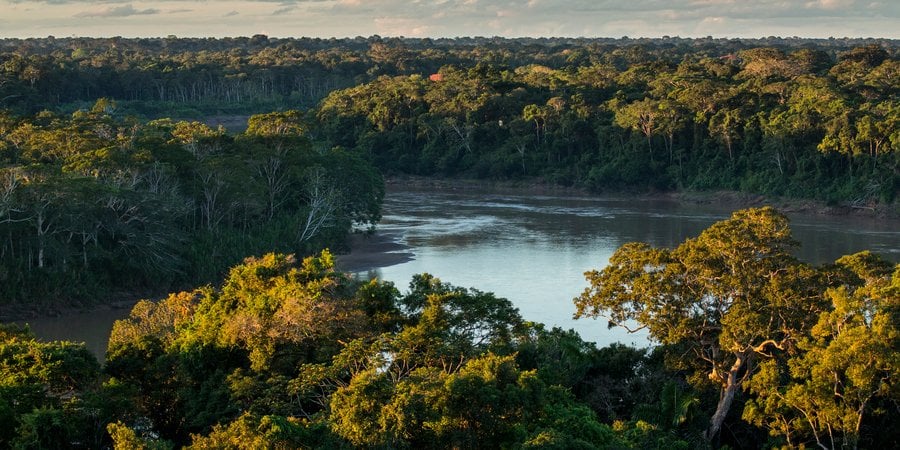 Tambopata National Reserve Peru