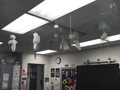 Taylor Halliday feature on wild classroom spotlight