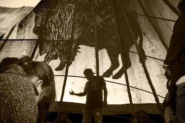 A person stands in a sepia-toned space with a big bison outline on fabric behind them
