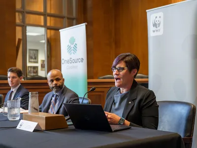 WWF's Erin Simon sits at a table with a laptop and speaks into a microphone at a hearing.