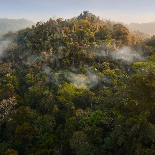 Aerial landscape of Thung Yai-Huai Kha Khaeng Wildlife Sanctuary in Thailand