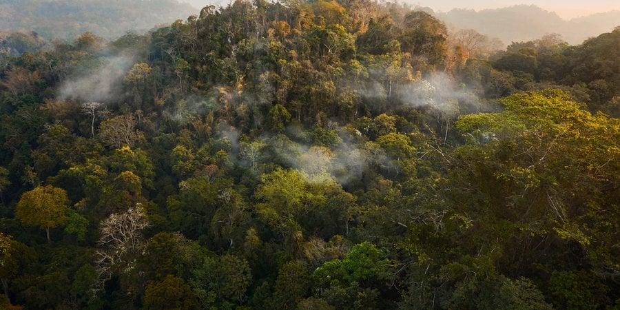 Aerial landscape of Thung Yai-Huai Kha Khaeng Wildlife Sanctuary in Thailand