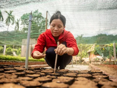 Thi La - Doi Village planting