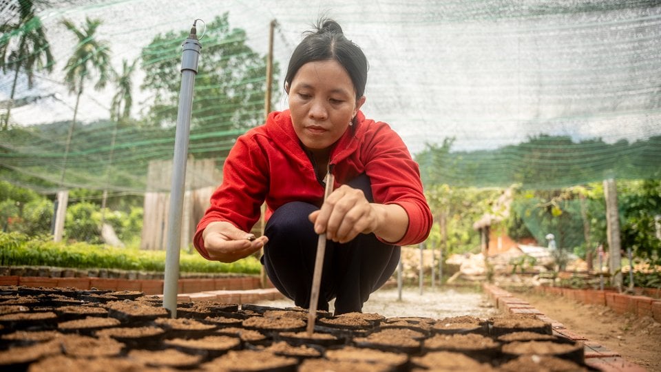 Woman in red shirt crouching over seedling pots