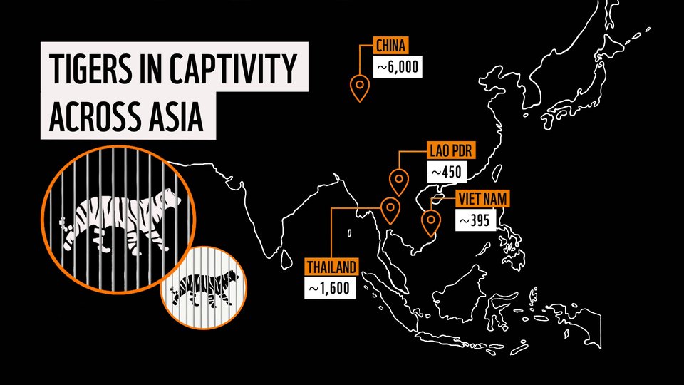 Map of tiger farm locations in Asia
