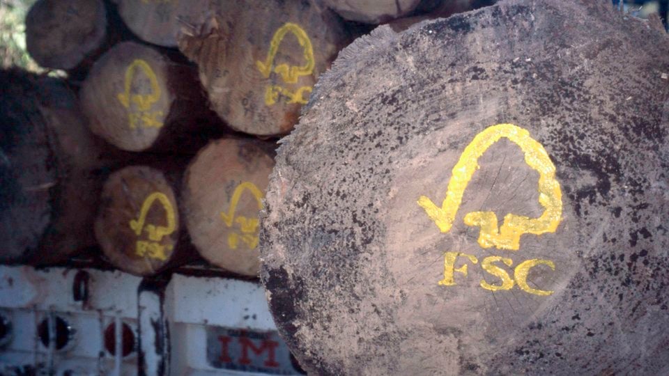Stacked logs with FSC stamped on ends