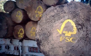 Stacked logs with FSC stamped on ends