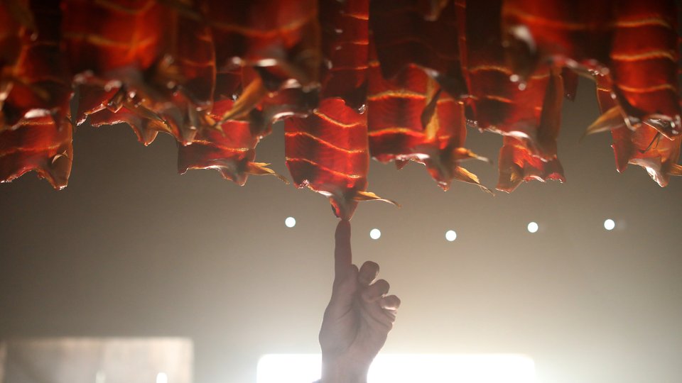 A finger reaches up to touch the oil dripping off a salmon smoking