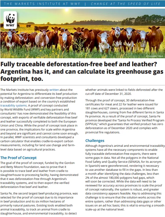 Traceable DCF Beef and Leather - WWF