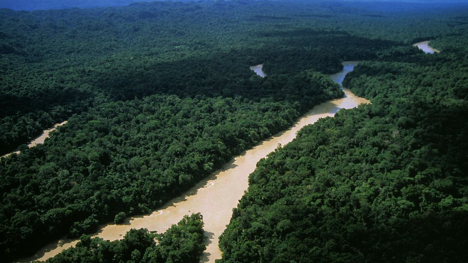 An aerial view of a tropical rainforest with a meandering river in Papua New Guinea